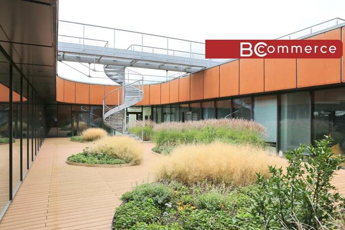 Pronájem kanceláře, Brno, Lazaretní, 900 m2