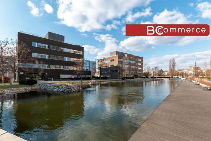 Pronájem kanceláře, Brno, 240 m2