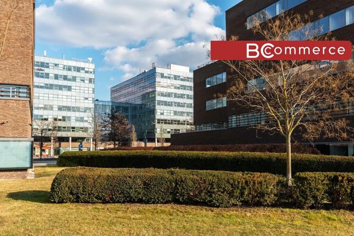 Pronájem kanceláře, Brno, 240 m2