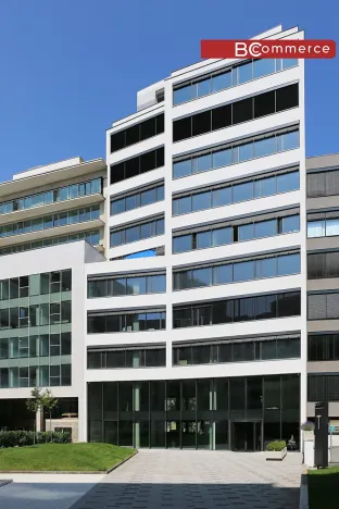 Pronájem kanceláře, Brno, 445 m2