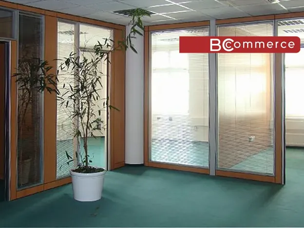 Pronájem kanceláře, Brno, 227 m2