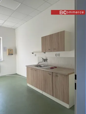Pronájem kanceláře, Brno, Veveří, 253 m2