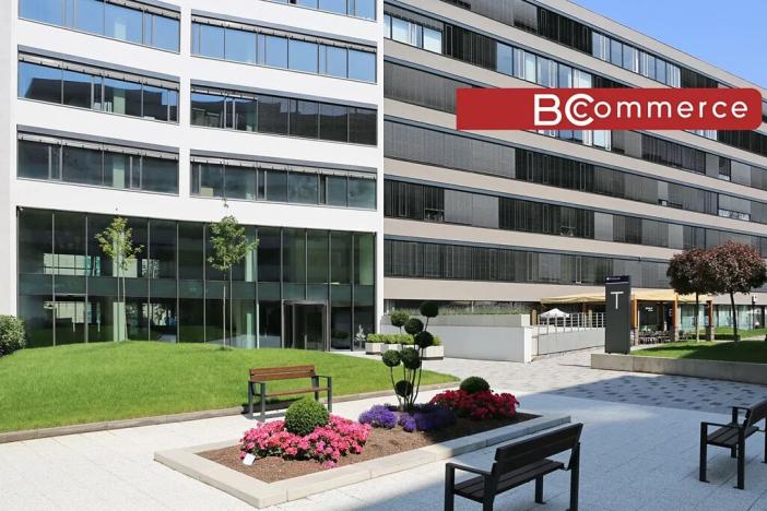 Pronájem kanceláře, Brno, 200 m2