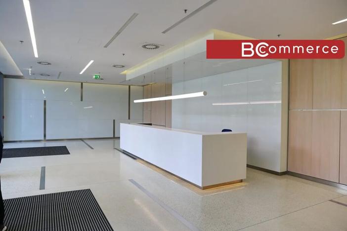 Pronájem kanceláře, Brno, 552 m2