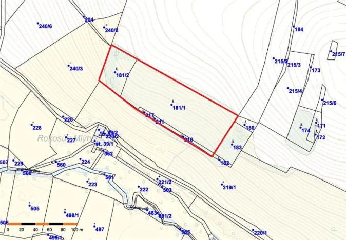 Prodej lesa, Mladé Bříště, 13440 m2