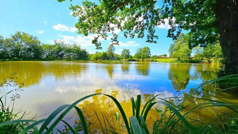 Prodej rodinného domu, Srubec, Jana Patočky, 145 m2