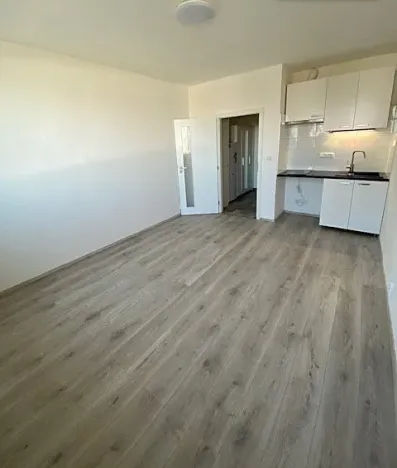 Pronájem bytu 1+kk, Brno, Halasovo náměstí, 23 m2