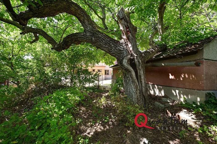 Prodej rodinného domu, Nečín, 151 m2