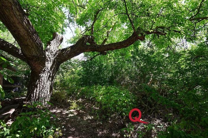 Prodej rodinného domu, Nečín, 151 m2