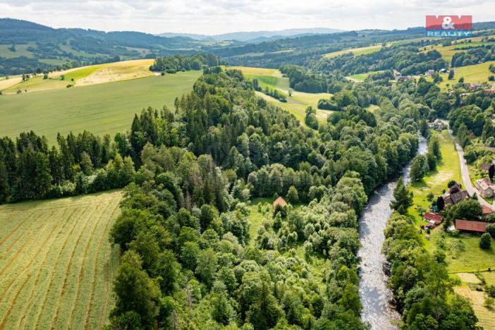 Prodej lesa, Peřimov, 36610 m2