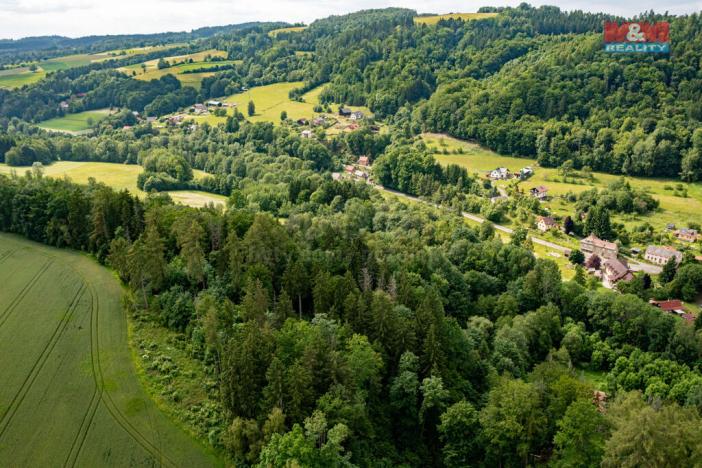 Prodej lesa, Peřimov, 36610 m2