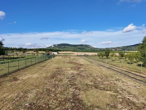 Prodej pozemku pro bydlení, Dolní Dunajovice, 2041 m2