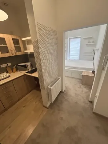 Pronájem bytu 1+kk, Olomouc, 33 m2