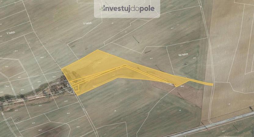 Prodej pole, Hracholusky, 12319 m2