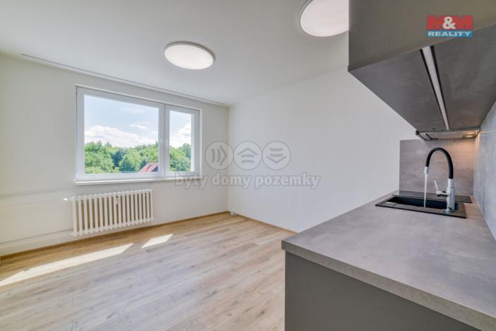 Pronájem bytu 1+1, Mariánské Lázně - Úšovice, Podhorská, 40 m2