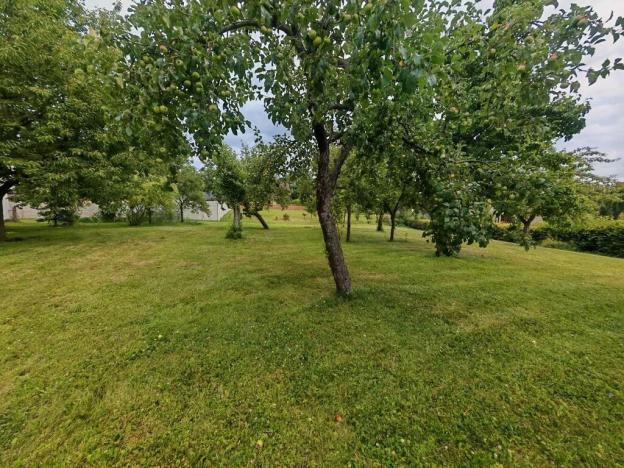 Prodej zemědělské usedlosti, Kunčina, 300 m2