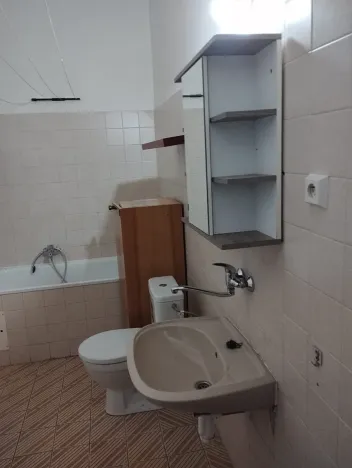 Prodej rodinného domu, Znojmo, Palackého, 280 m2