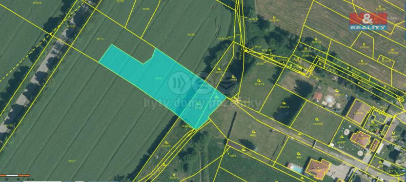 Prodej louky, Veselí nad Lužnicí - Veselí nad Lužnicí I, 7173 m2