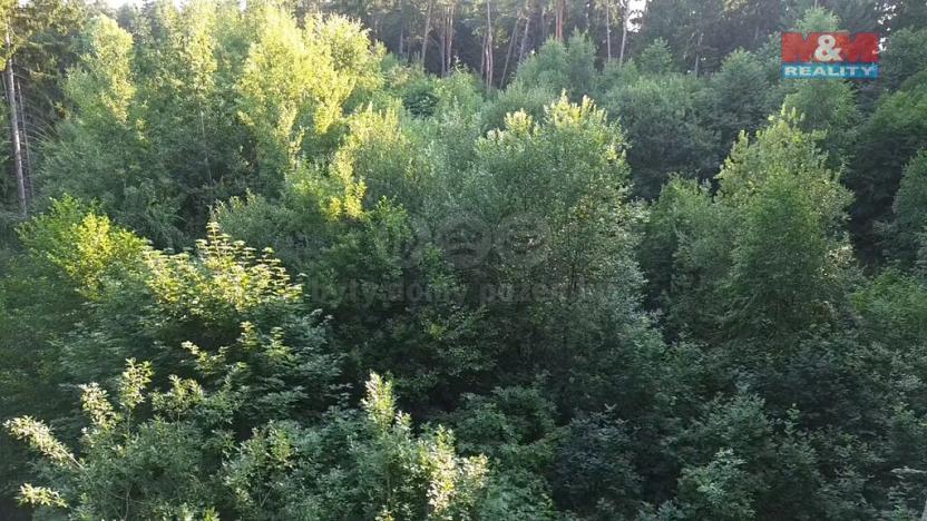 Prodej lesa, Tábor - Horky, 5139 m2