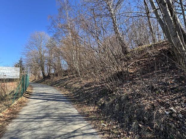 Prodej pozemku pro bydlení, Zlaté Hory, U Sv. Rocha, 5589 m2