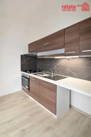 Pronájem bytu 2+1, Most, Maxe Švabinského, 53 m2
