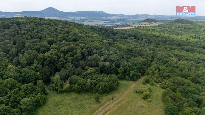 Prodej louky, Ústí nad Labem - Ústí nad Labem-centrum, 185572 m2