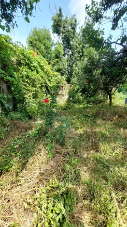 Prodej rodinného domu, Brno, Slovinská, 64 m2