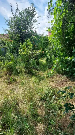 Prodej rodinného domu, Brno, Slovinská, 64 m2