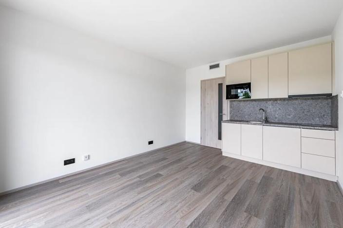 Pronájem bytu 1+kk, Praha - Hlubočepy, Na Zlíchově, 26 m2