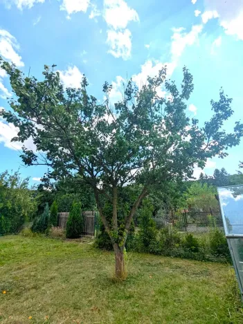 Prodej chaty, Teplice, Bratislavská, 30 m2