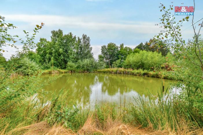 Prodej pozemku pro bydlení, Cheb - Bříza, 3217 m2