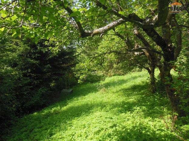 Prodej chalupy, Zlatá Olešnice, 104 m2