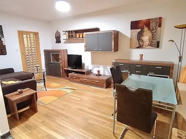 Pronájem bytu 1+kk, Praha - Košíře, Nepomucká, 40 m2