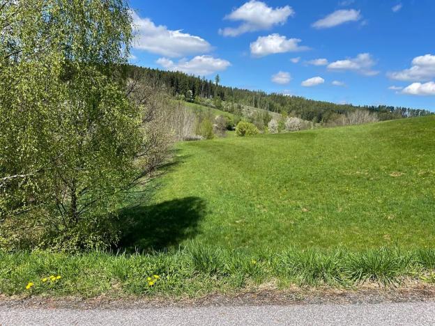 Prodej pole, Pecka, 10031 m2