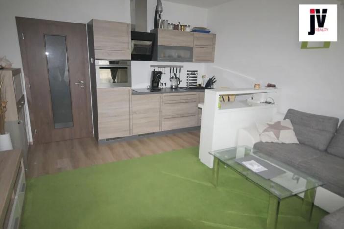 Pronájem bytu 1+kk, Plzeň, U Borských kasáren, 42 m2