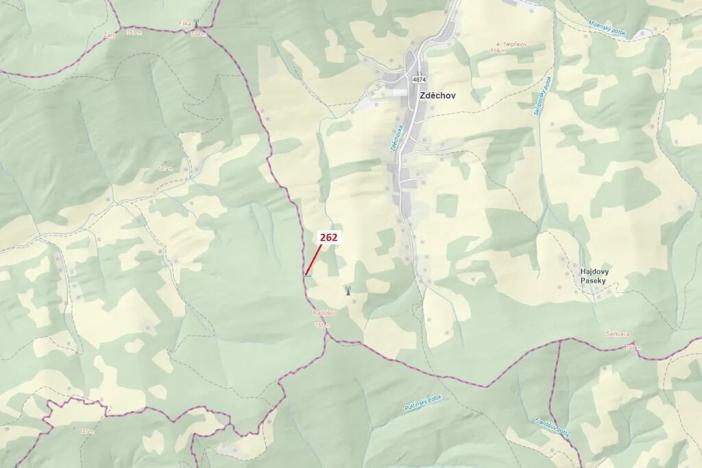 Dražba lesa, Zděchov, 273 m2