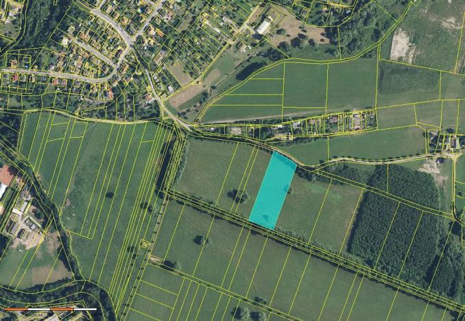 Prodej louky, Dvůr Králové nad Labem, 136924 m2