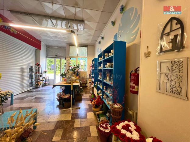 Pronájem obchodního prostoru, Bohumín - Nový Bohumín, tř. Dr. E. Beneše, 50 m2