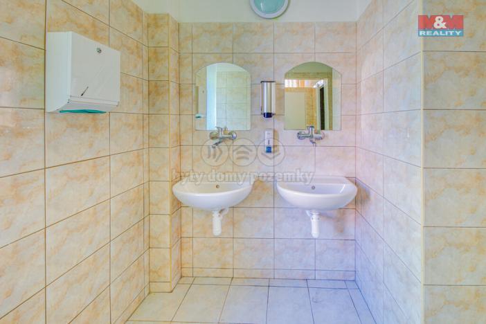 Pronájem restaurace, Plzeň - Východní Předměstí, Francouzská třída, 470 m2