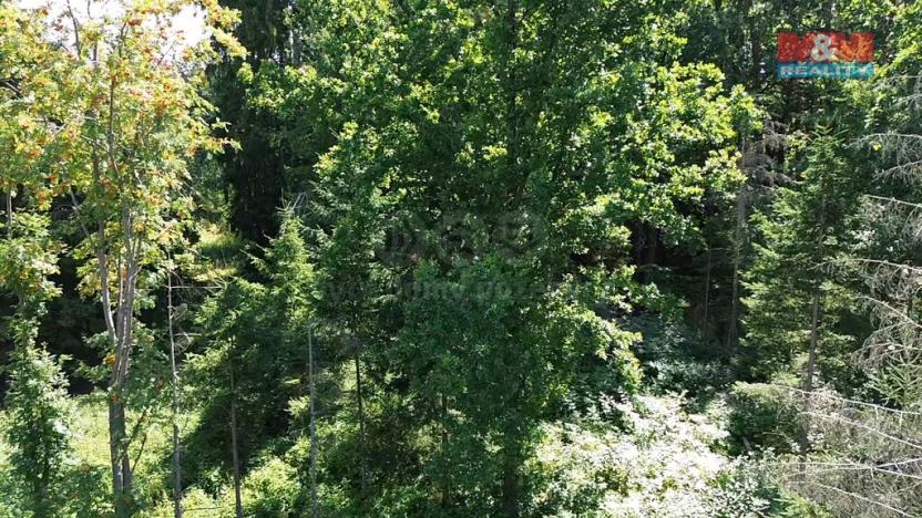 Prodej lesa, Opařany - Olší, 5323 m2