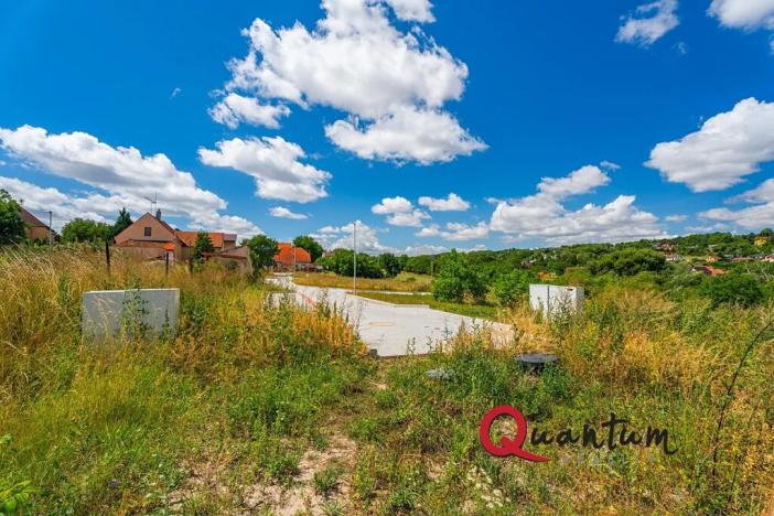 Prodej pozemku pro bydlení, Brandýsek, Pod lékárnou, 2715 m2