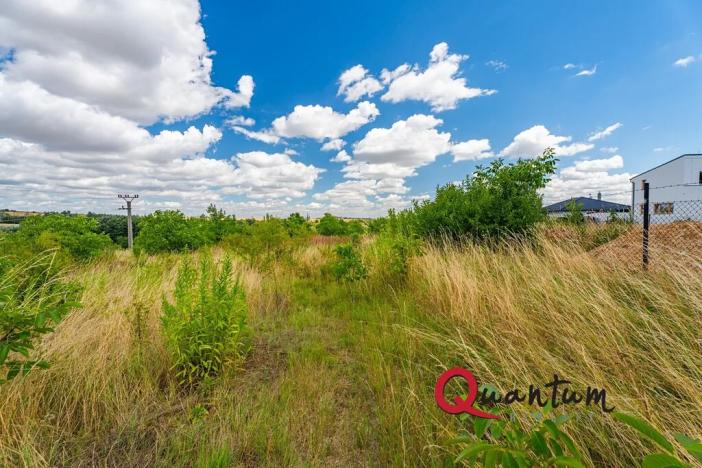 Prodej pozemku pro bydlení, Brandýsek, Pod lékárnou, 2715 m2