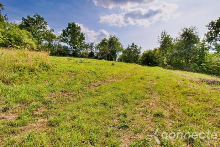 Prodej pozemku, Český Šternberk, 2282 m2