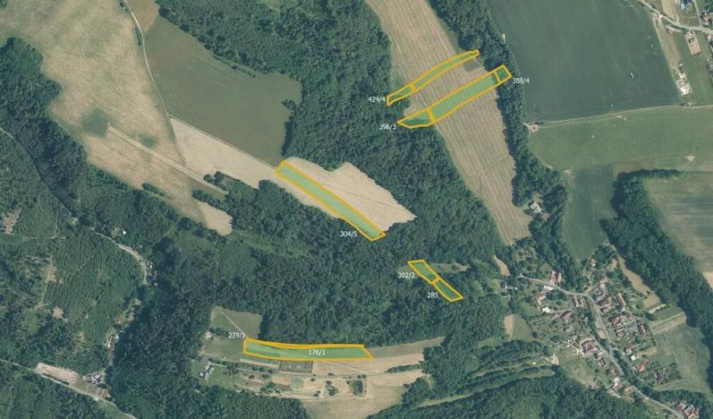 Prodej louky, Hranice, 41074 m2
