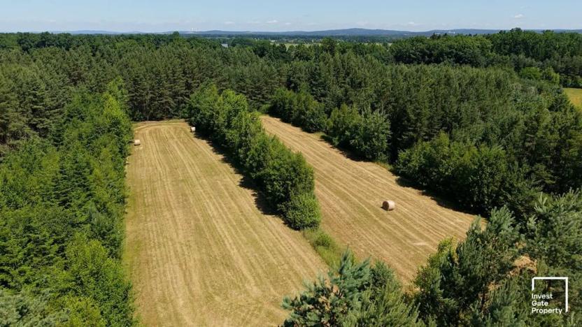 Prodej komerčního pozemku, Čejkovice, 121779 m2