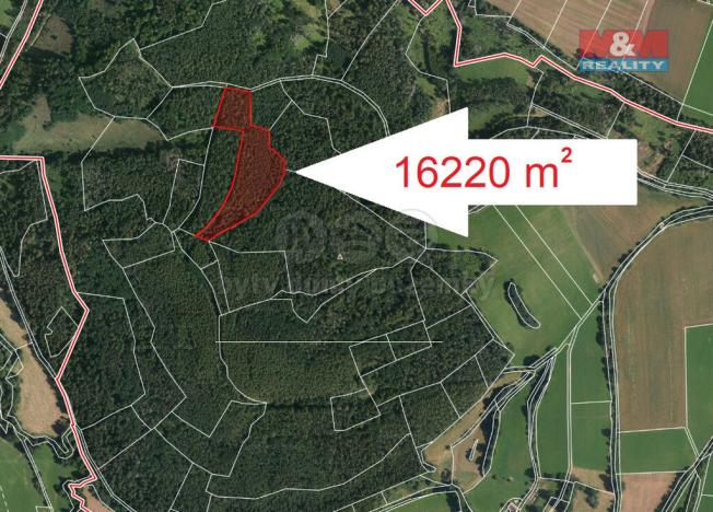 Prodej lesa, Petrovice - Mezihoří, 16220 m2