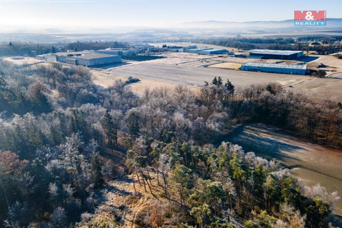 Prodej lesa, Horšovský Týn, 685 m2