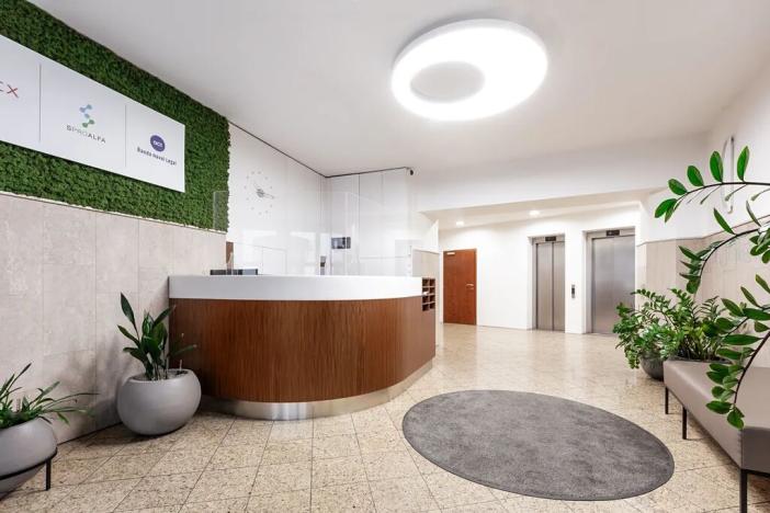 Pronájem kanceláře, Praha - Nové Město, Truhlářská, 20 m2