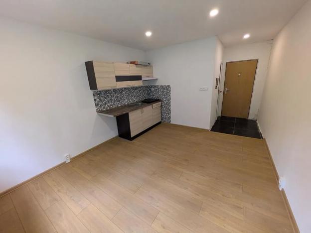 Pronájem bytu 1+kk, Kadaň, Na Podlesí, 21 m2