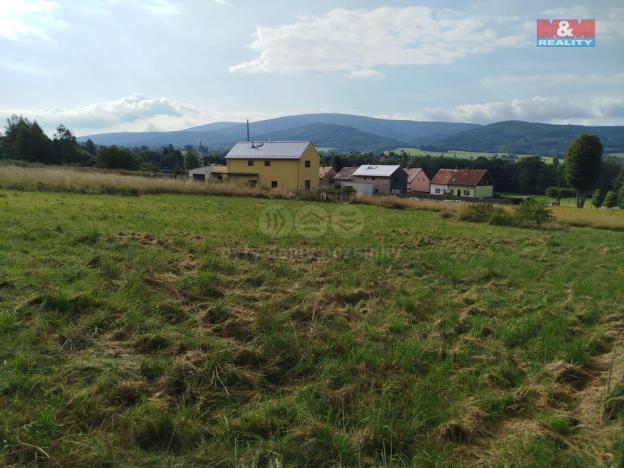 Prodej pozemku pro bydlení, Nové Město pod Smrkem - Hajniště, 1299 m2